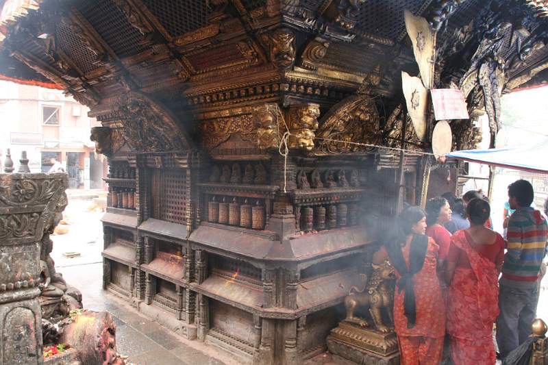 India & Nepal 2011 - 0395